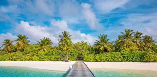 Virgin Island, Εισαι παρθένος? Xάσε την παρθενιά σου Virgin Island,παρθενιά, εργατριες του σεξ,ριάλιτι, σεξ, παρθένος,